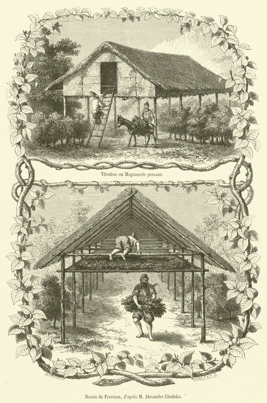 Tilembar ou Magnanerie persane (gravür) by French School