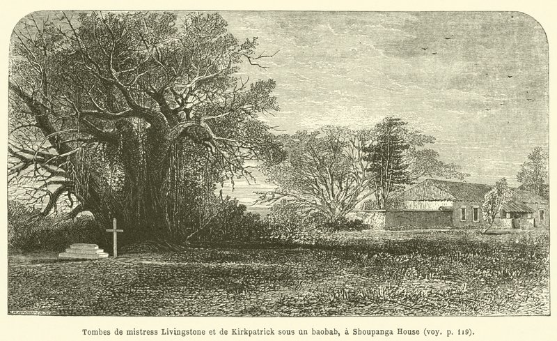 Shoupanga Evi