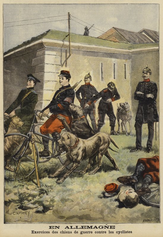 Ordu köpeklerini bisikletçilere saldırmak için eğitmek, Almanya by French School