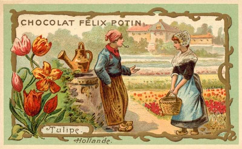 Laleler, Hollanda (chromolitho) by French School