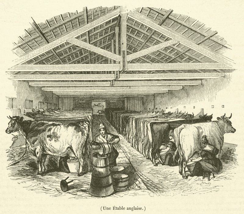 Bir İngiliz ahırı (gravür) by French School