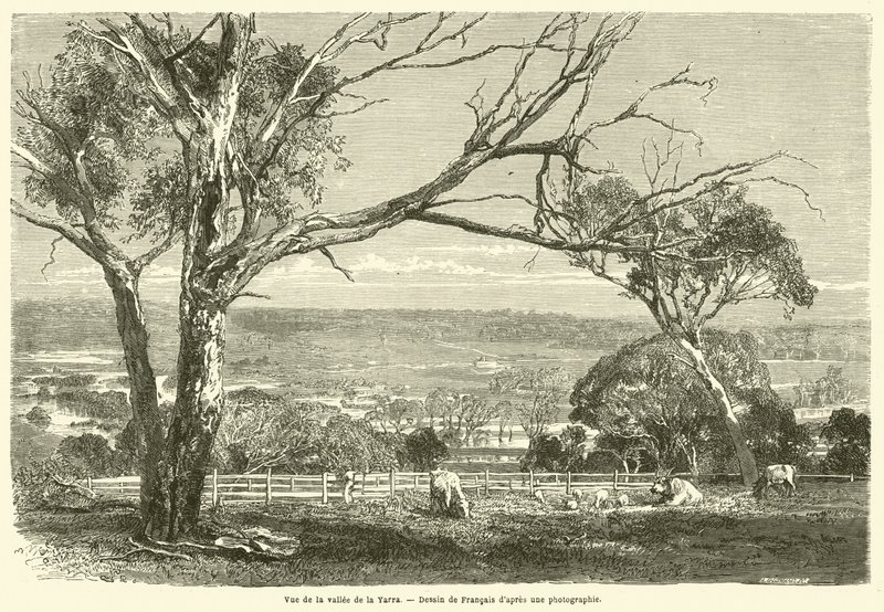 Yarra Vadisi