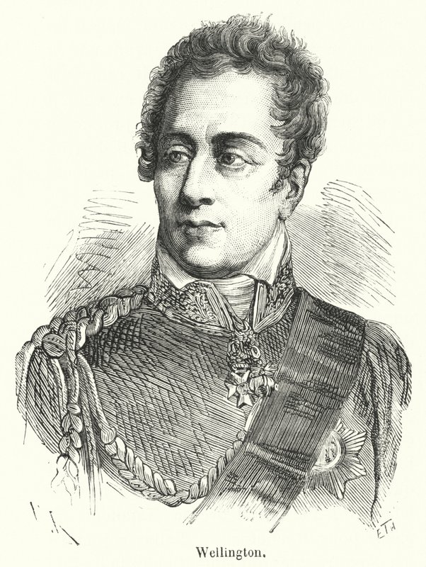 Wellington (gravür) by French School
