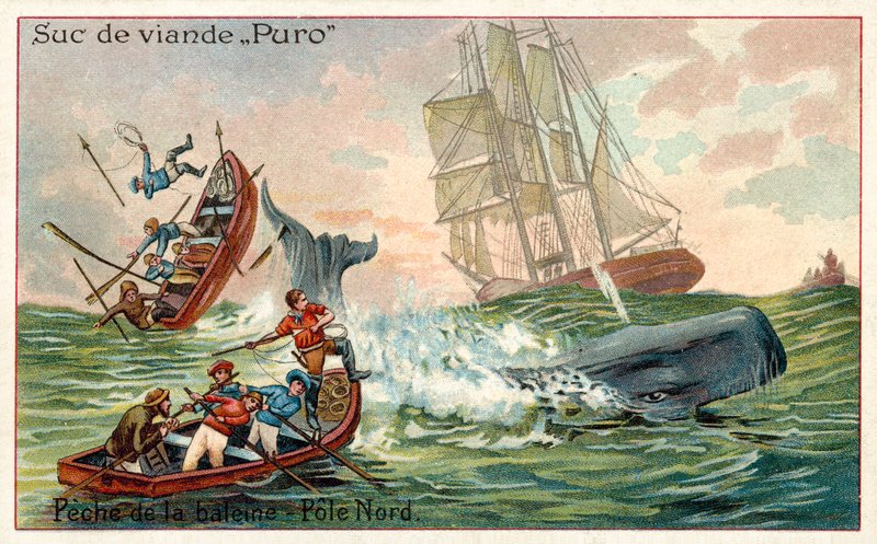 Kuzey Kutbu'nda balina avcılığı (chromolitho) by French School