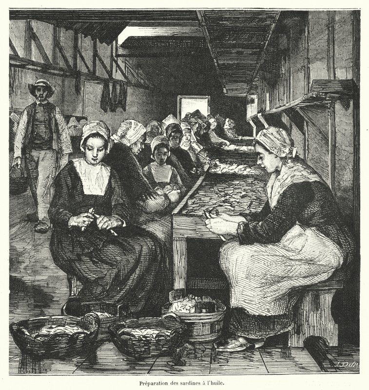 Sardalya hazırlayan kadınlar (gravür) by French School