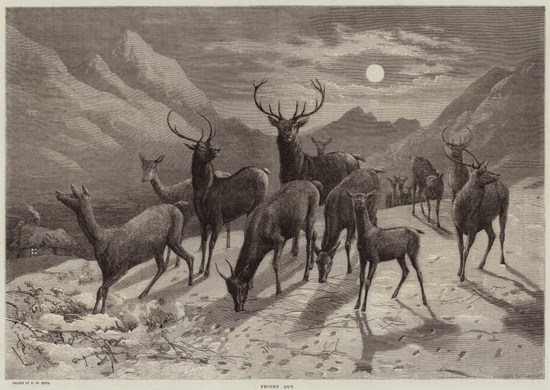 Donmuş by Friedrich Wilhelm Keyl