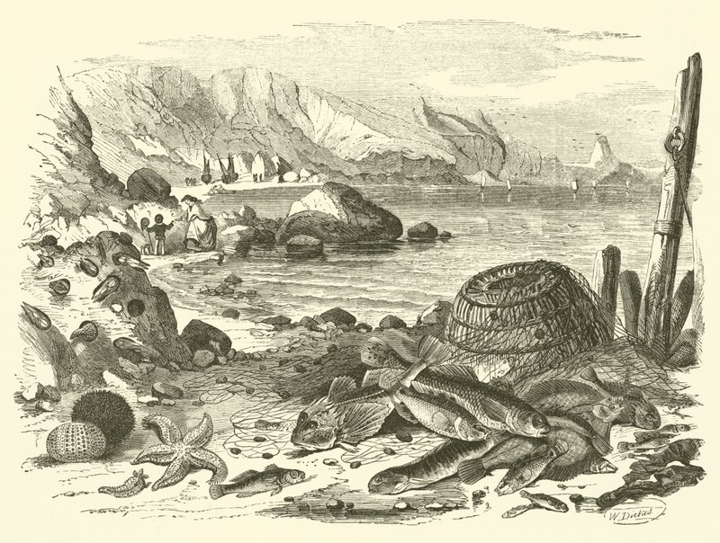 Balık tutma (gravür) by Friedrich Specht