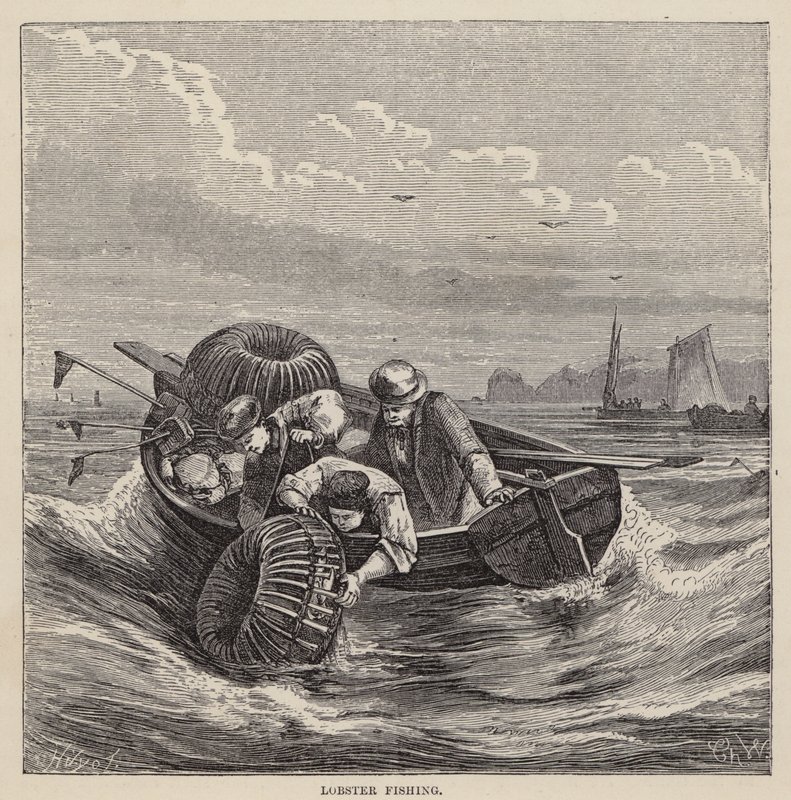Istakoz Balıkçılığı (renkli gravür) by Friedrich Specht