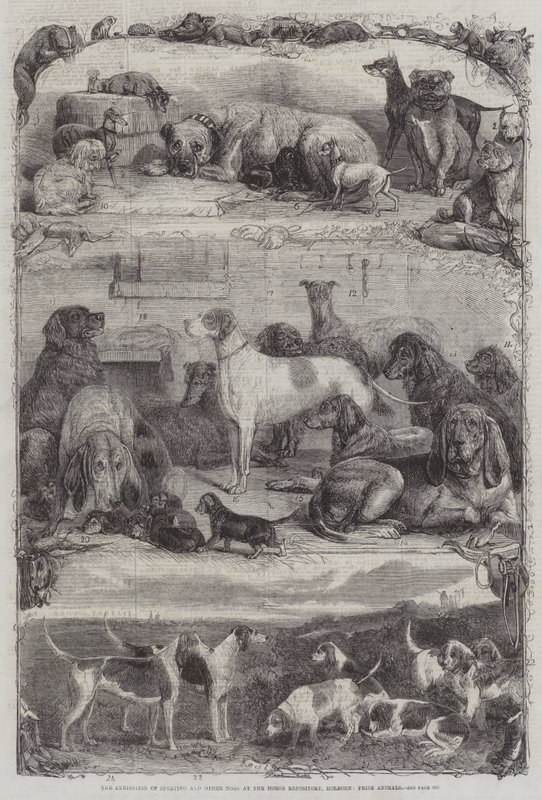 At Deposu, Holborn, Ödül Hayvanlarında Spor ve Diğer Köpeklerin Sergisi by Friedrich Wilhelm Keyl