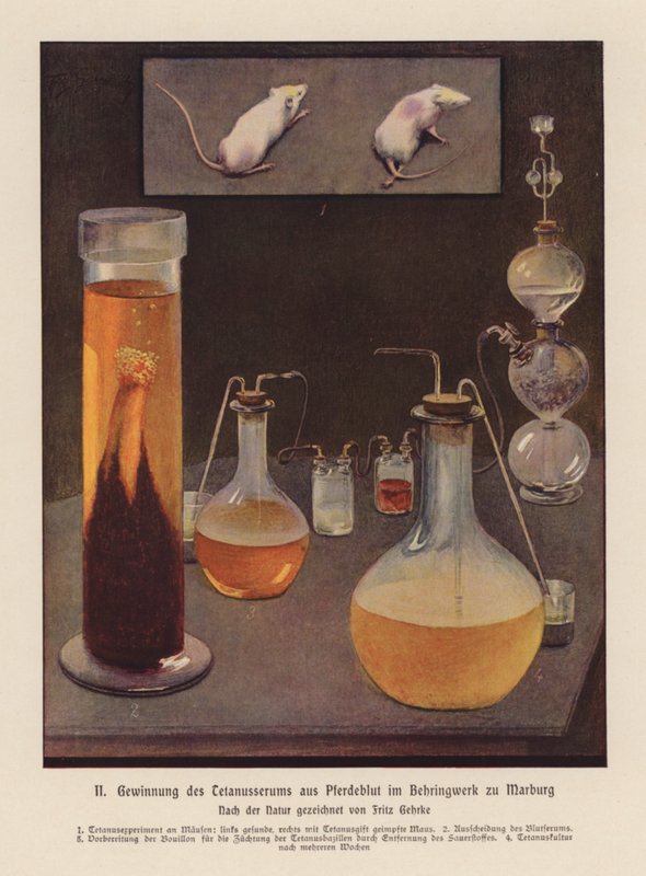  by Fritz Gehrke