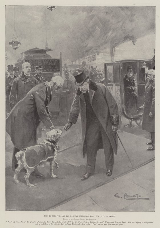 Kral Edward VII ve Demiryolu Toplama-Köpek Tim Paddington