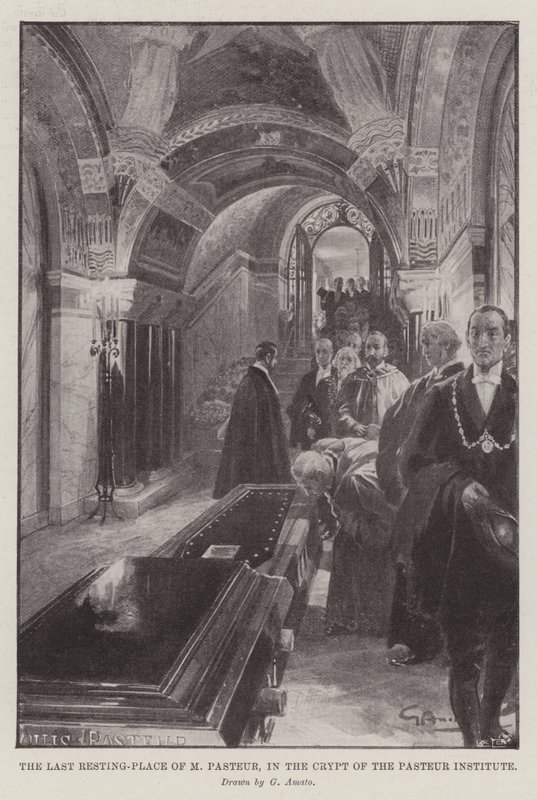 Pasteur Enstitüsü