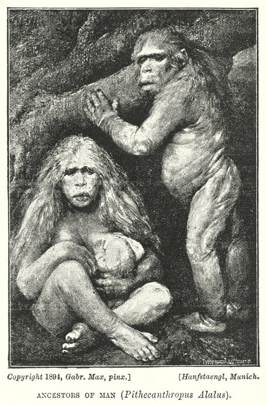 İnsanın Ataları, Pithecanthropus Alalus (lito) by Gabriel Max