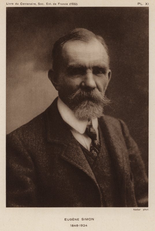 Eugene Simon, Fransız doğa bilimci, entomolog ve örümcek taksonomisti. (s/b fotoğraf) by Gaspard Felix Tournachon Nadar