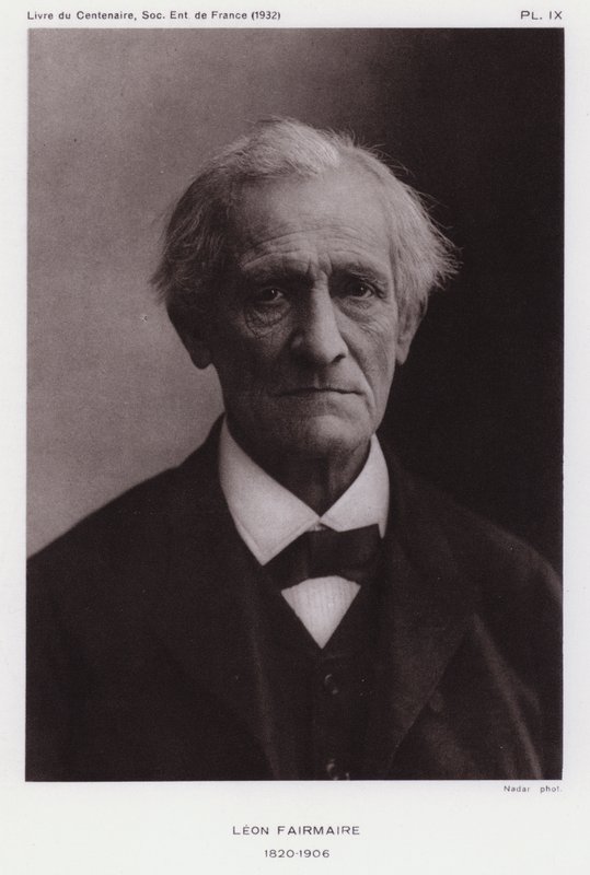 Leon Fairmaire, Fransız entomolog (s/b fotoğraf) by Gaspard Felix Tournachon Nadar