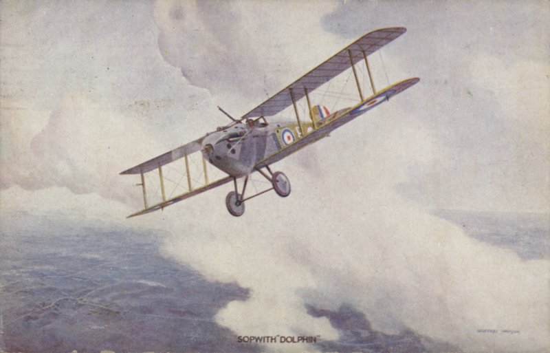 Sopwith Dolphin savaş uçağı (renkli taş) by Geoffrey (after) Watson