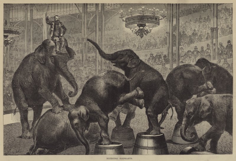 Eksantrik Filler by Georg Koch