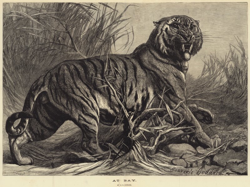 Körfezde by George Bouverie Goddard