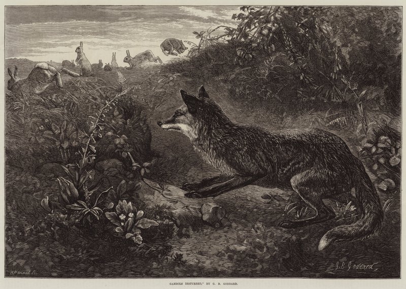 Kumarbazlar Rahatsız by George Bouverie Goddard