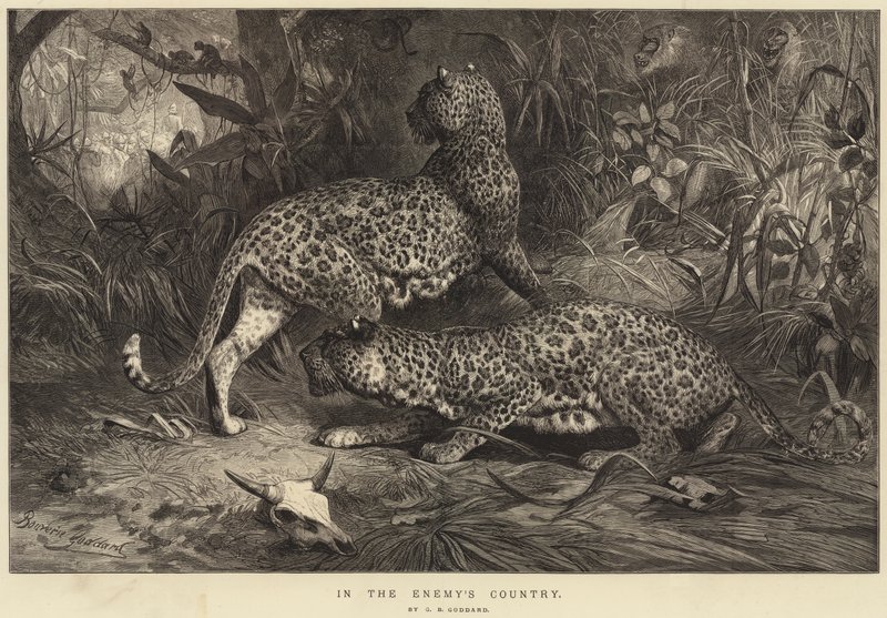 Düşmanın Ülkesinde by George Bouverie Goddard