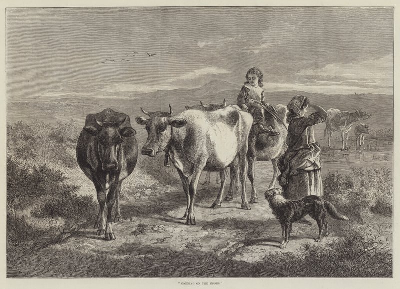 Moors üzerinde sabah by George Bouverie Goddard