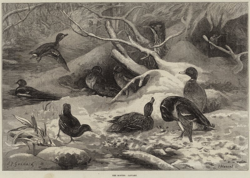 Aylar, Ocak by George Bouverie Goddard