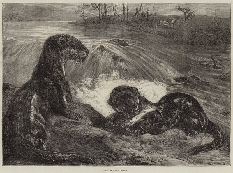 ತಿಂಗಳುಗಳು, ಮಾರ್ಚ್ ಟರ್ಕಿ by George Bouverie Goddard