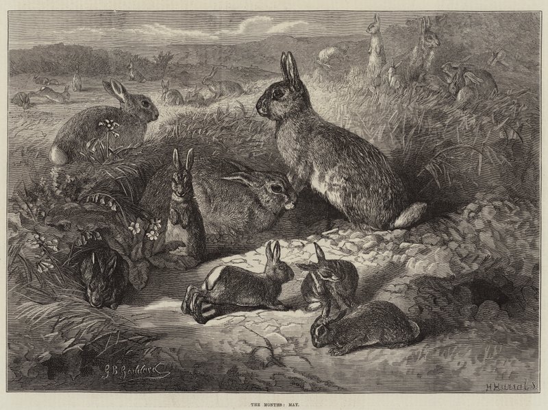Aylar, Mayıs by George Bouverie Goddard