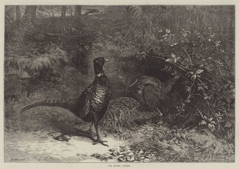 Aylar, Ekim by George Bouverie Goddard