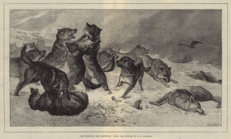 Varoluş Mücadelesi by George Bouverie Goddard