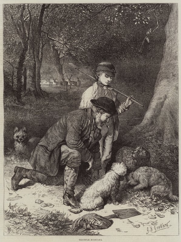 Trüf-Avcılık by George Bouverie Goddard