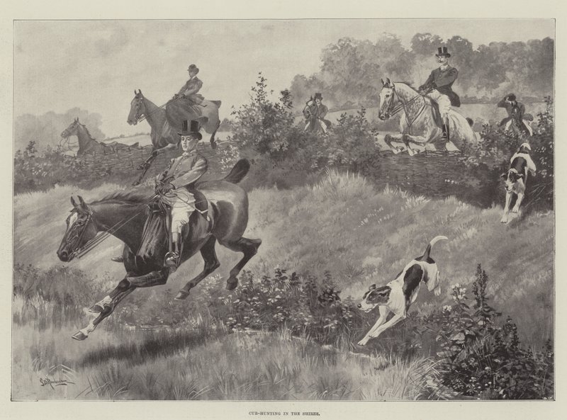 Shires