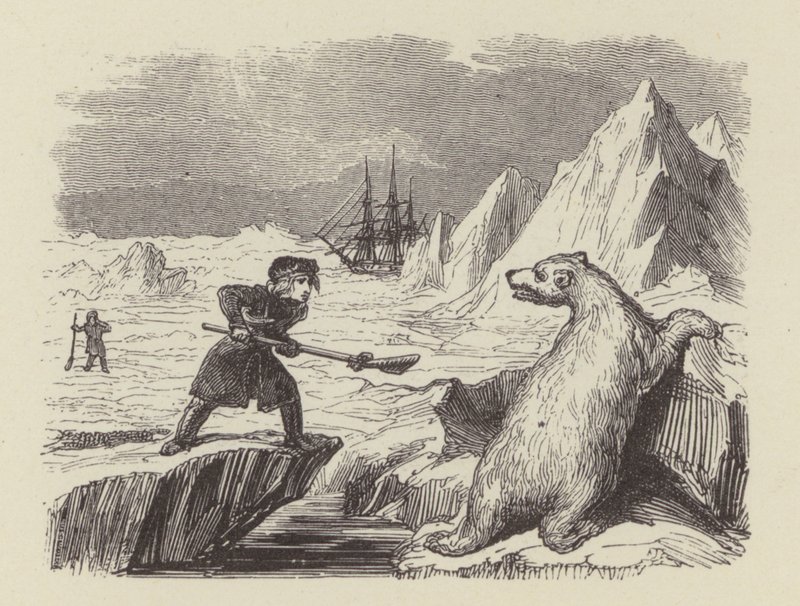 Bir kutup ayısını öldüren genç Nelson (gravür) by George (after) Cruikshank