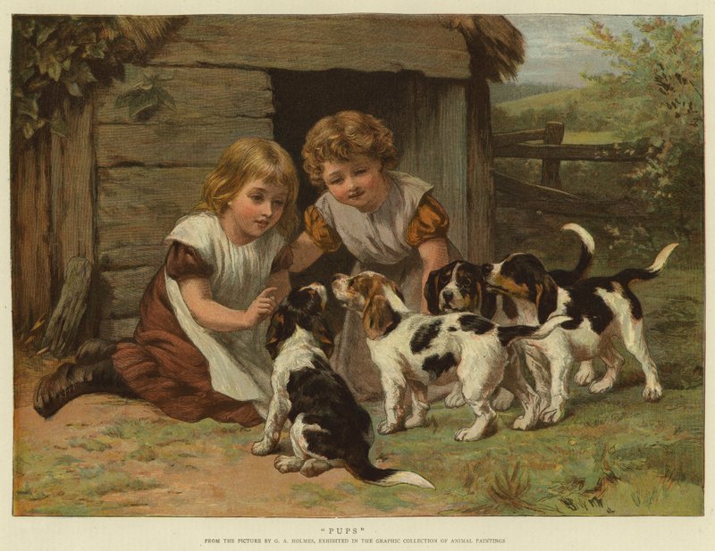 yavrular by George Augustus Holmes