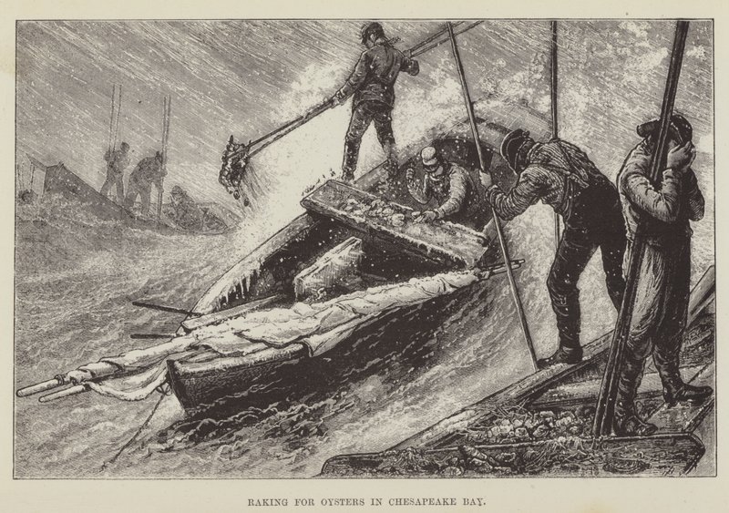 Chesapeake Körfezi