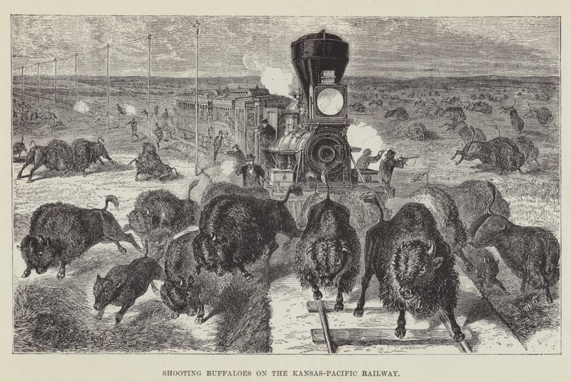 Kansas-Pasifik Demiryolunda Bufaloları Vurmak by George Augustus Sala