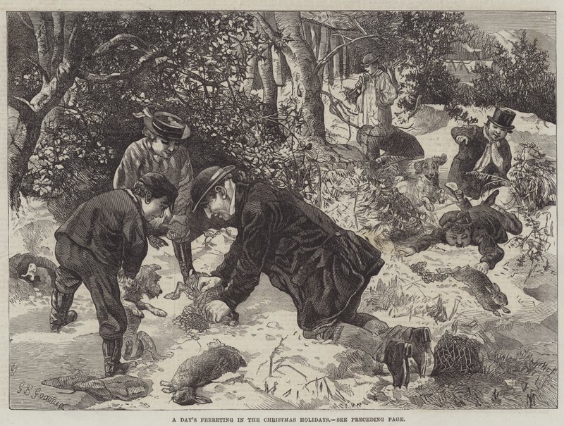 Noel Tatillerinde Bir Gün Gelincik by George Bouverie Goddard