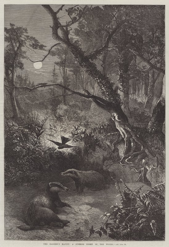 Porsuk Perisi, Ormanda Bir Yaz Gecesi by George Bouverie Goddard
