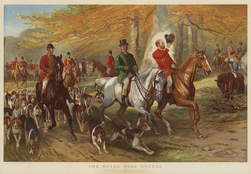 Kraliyet Geyik Av Köpekleri, Galler SAİK Prensi ve Lord Cork by George Bouverie Goddard