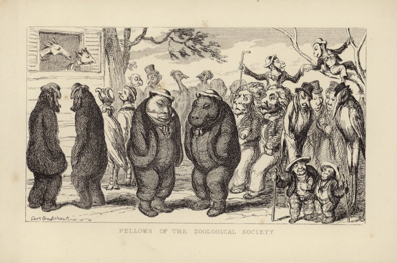Zooloji Derneği Üyeleri by George Cruikshank