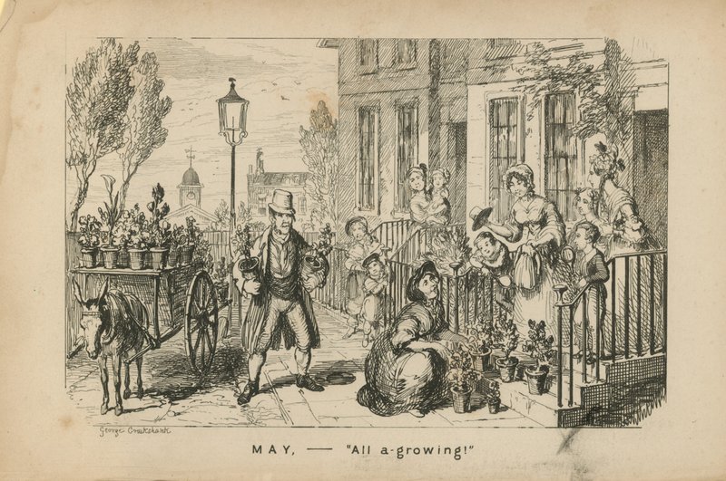 Mayıs - hepsi büyüyor by George Cruikshank