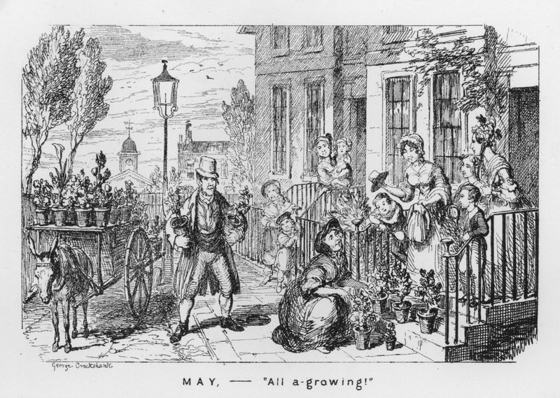 Mayıs, Büyüyen (gravür) by George Cruikshank