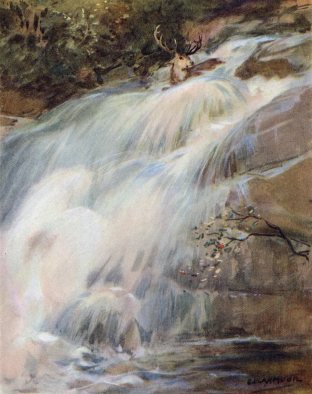 Bir Kızıl Geyiğin Öyküsü için İllüstrasyon (renkli taş) by George Denholm Armour