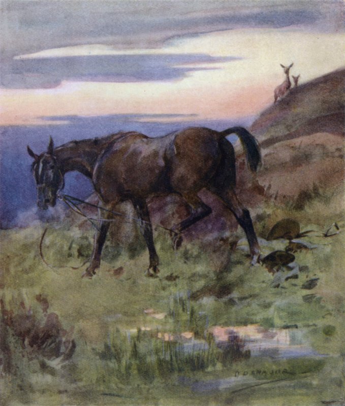 Bir Kızıl Geyiğin Öyküsü için İllüstrasyon (renkli taş) by George Denholm Armour