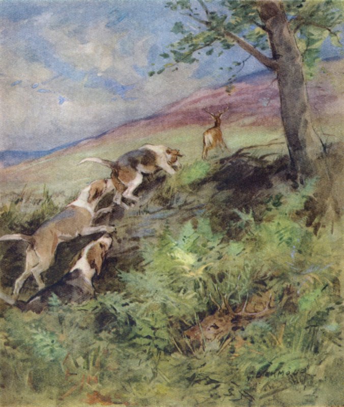 Bir Kızıl Geyiğin Öyküsü için İllüstrasyon (renkli taş) by George Denholm Armour