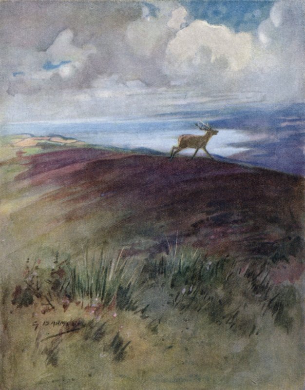 Bir Kızıl Geyiğin Öyküsü için İllüstrasyon (renkli taş) by George Denholm Armour