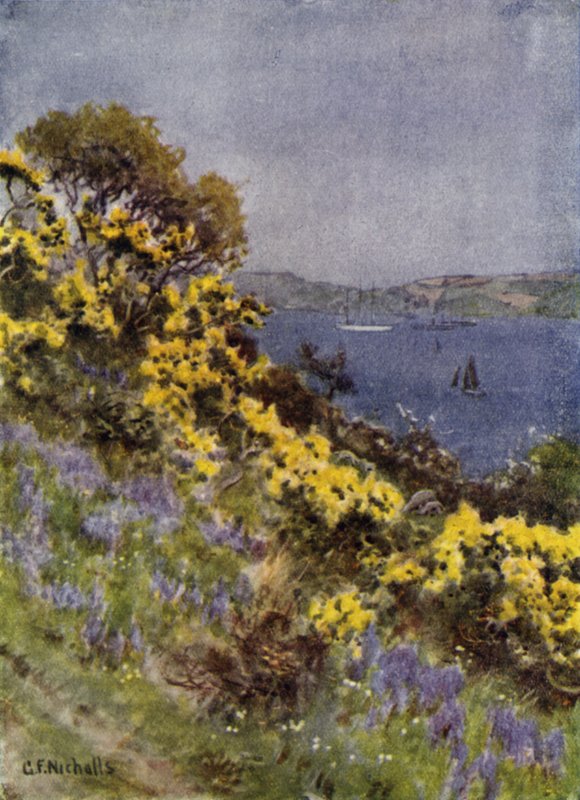 Fal Bankaları, Falmouth by George Franck Nicholls