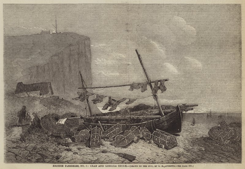 İngiliz Balıkçılık, No 5, Yengeç ve Istakoz Sahili by George Henry Andrews