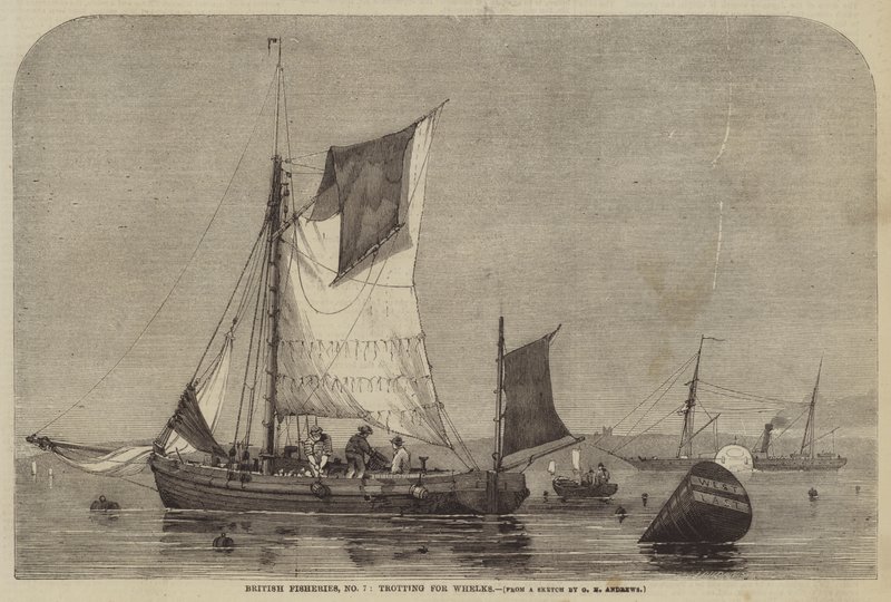 İngiliz Balıkçılık, No 7, Whelks için paça by George Henry Andrews