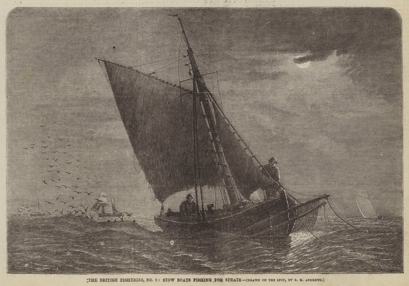The British Fisheries, No 3, Stow Boats, hamsi balığı avlıyor by George Henry Andrews